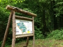 Schild Wald-Erlebnis-Pfad