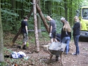 Holzbestimmung 2