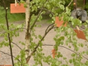 WaldTag - 5.jpg
