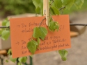 WaldTag - 6.jpg