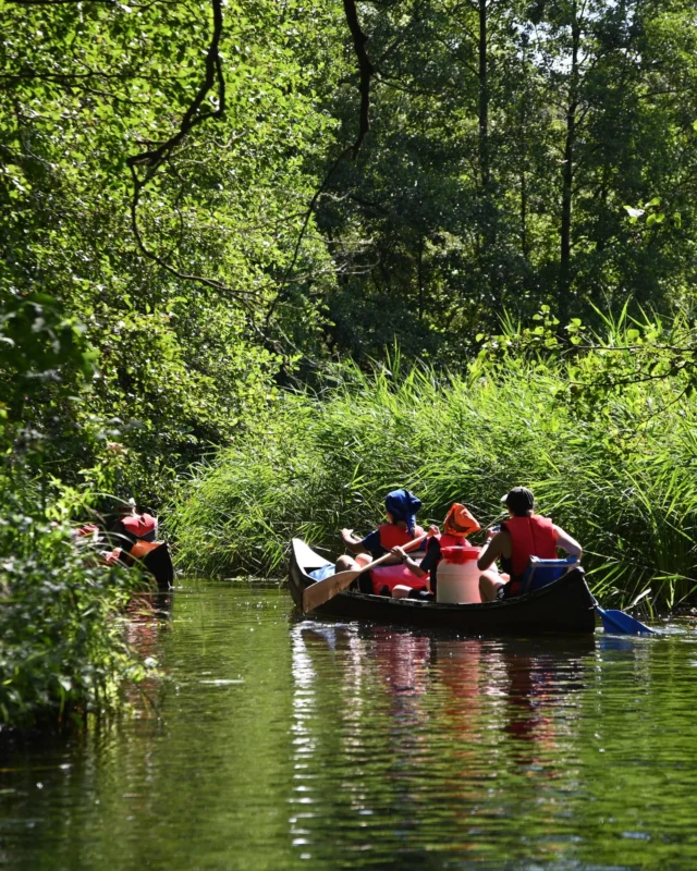 Stammes SoLa Recap: Kanu Hikes 🛶

Ein Sommerlager an der Mecklenburgischen Seenplatte ohne Kanu Hike ist natürlich undenkbar. Da wir nicht genug Kanus für alle haben, gab’s auch dieses Jahr wieder Hybrid-Hikes: Erst wandern, dann paddeln (oder umgekehrt). Nach Tag zwei fand dabei die Kanuübergabe statt. Egal ob auf den weiten Seen oder schmalen Nebenläufen - die Aussicht war ein Traum! Selbst brenzlige Manöver mit großen Motorbooten in den Schleusen wurden souverän gemeistert. Auch Paddeln macht hungrig, deshalb darf auch hier die richtige Verpflegung nicht fehlen!

#kanufahren #Kanu #seenplatte #schleusenakrobat:innen #navigationsmeister #schilfkannunsnichts #schwanenhavel #sonnenuntergang #wrapsambahnsteig #snackromantik #ohnemüsliriegelgehtsnicht #schleuse #hybridhike #stammessommerlager #stammeslager #sola #sommerlager #mecklenburg #pfadfinden #StElliimHerzen